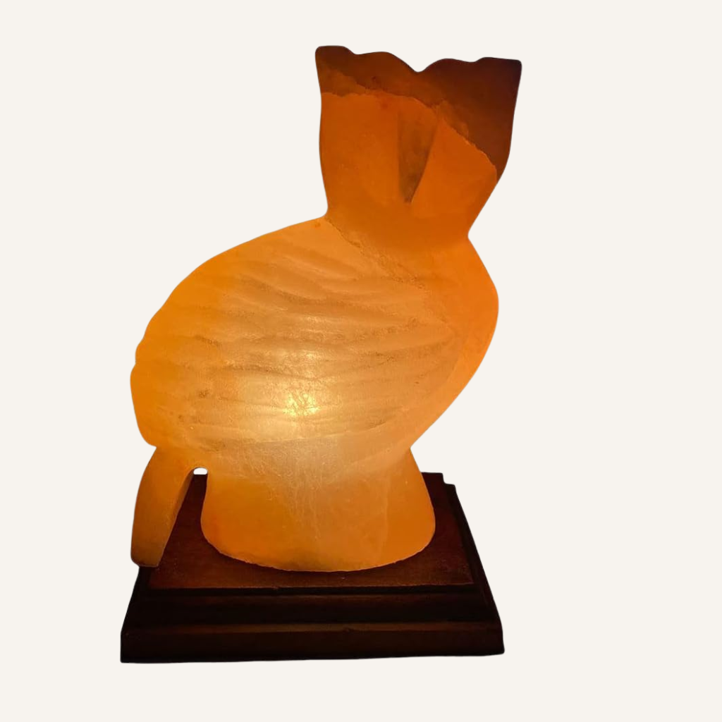 Salzkristall Salzlampe 'Eule'