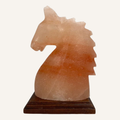 Salzkristall Salzlampe 'Pferd'