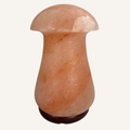 Salzkristall Salzlampe Pilz (Mushroom)