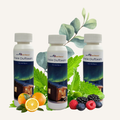 well2wellness® Saunaaufguss Set 3 x 250 ml - freie Duftwahl